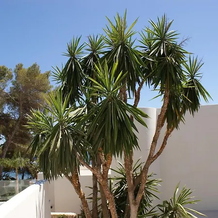 Casa Tranquila: Ibiza With Sea Views And Private Pool Villa